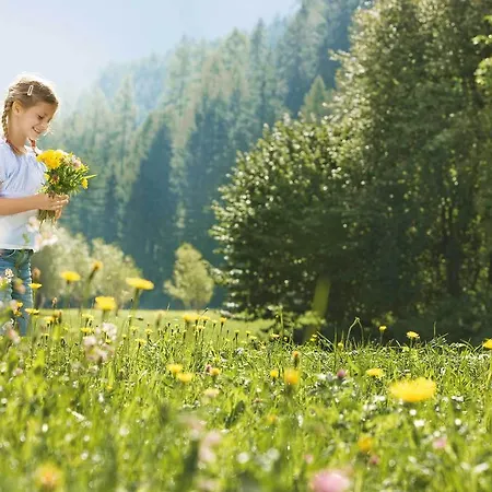 拉维塔旅馆 朗根费尔德